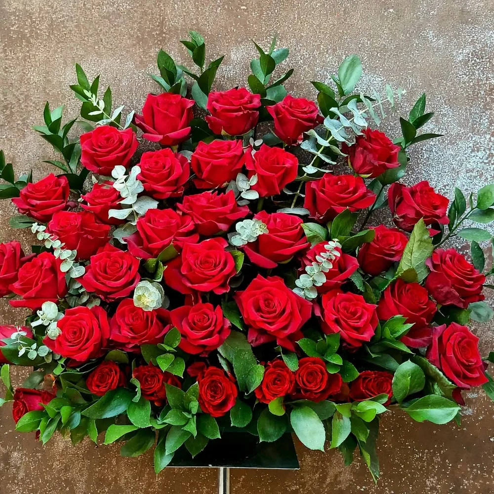 Centro de una cara, rosas, rosas